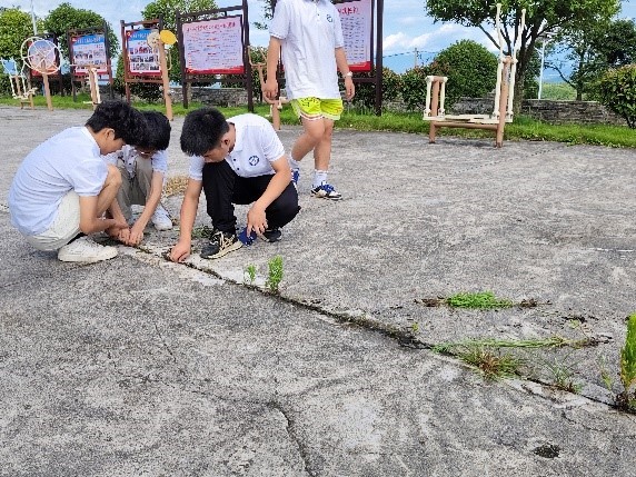 邵阳职院技术学院